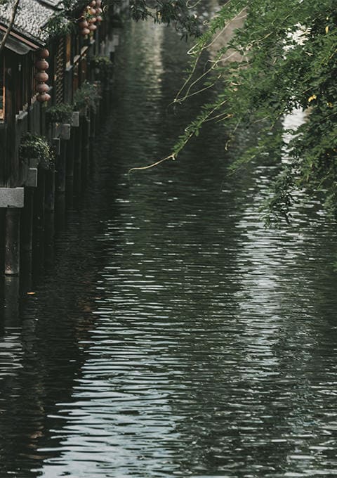 青海途游国际旅行社有限公司驻马店营业网点