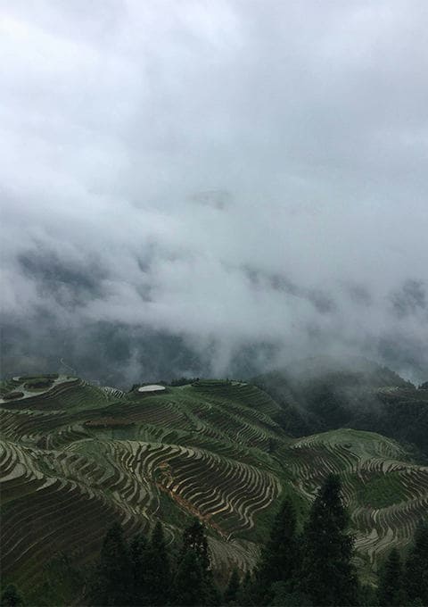 青海途游国际旅行社有限公司驻马店营业网点